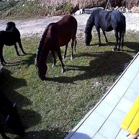 Apartments Villa Deja Núi Núi Jahorina Ngoại thất bức ảnh